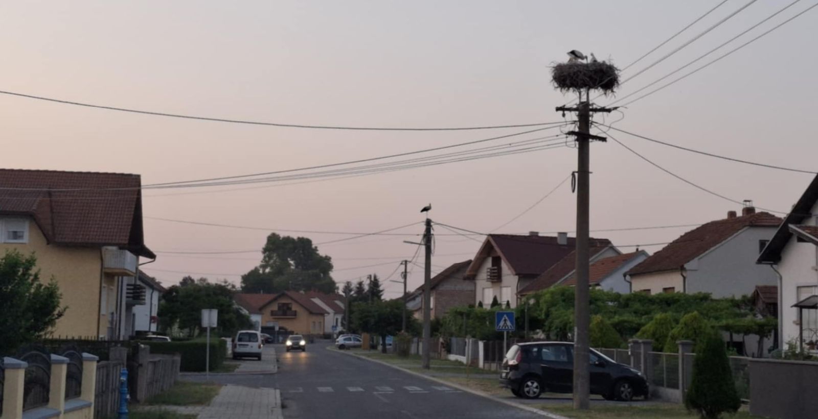 Dvije velike i tri male rode u srcu Nedelišća – prizor koji topi srca (1)