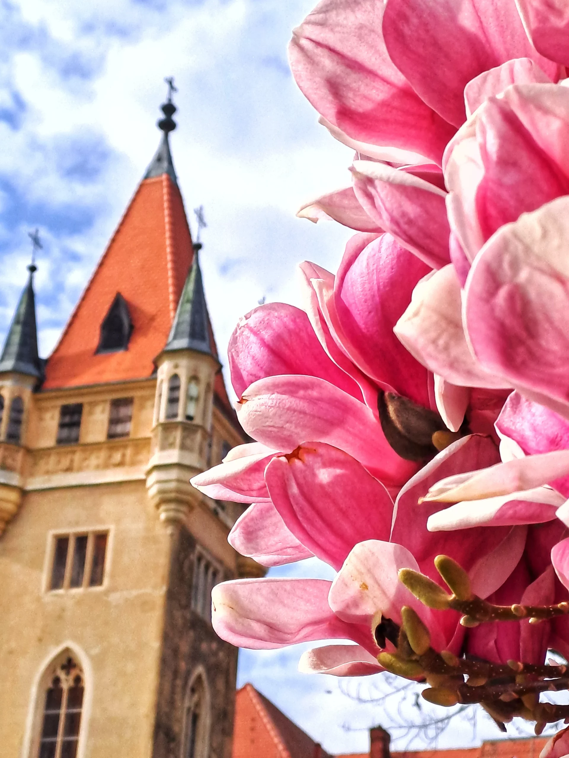 Dvorac Feštetić Pribislavec (1) Dvorac Feštetić Pribislavec (1)