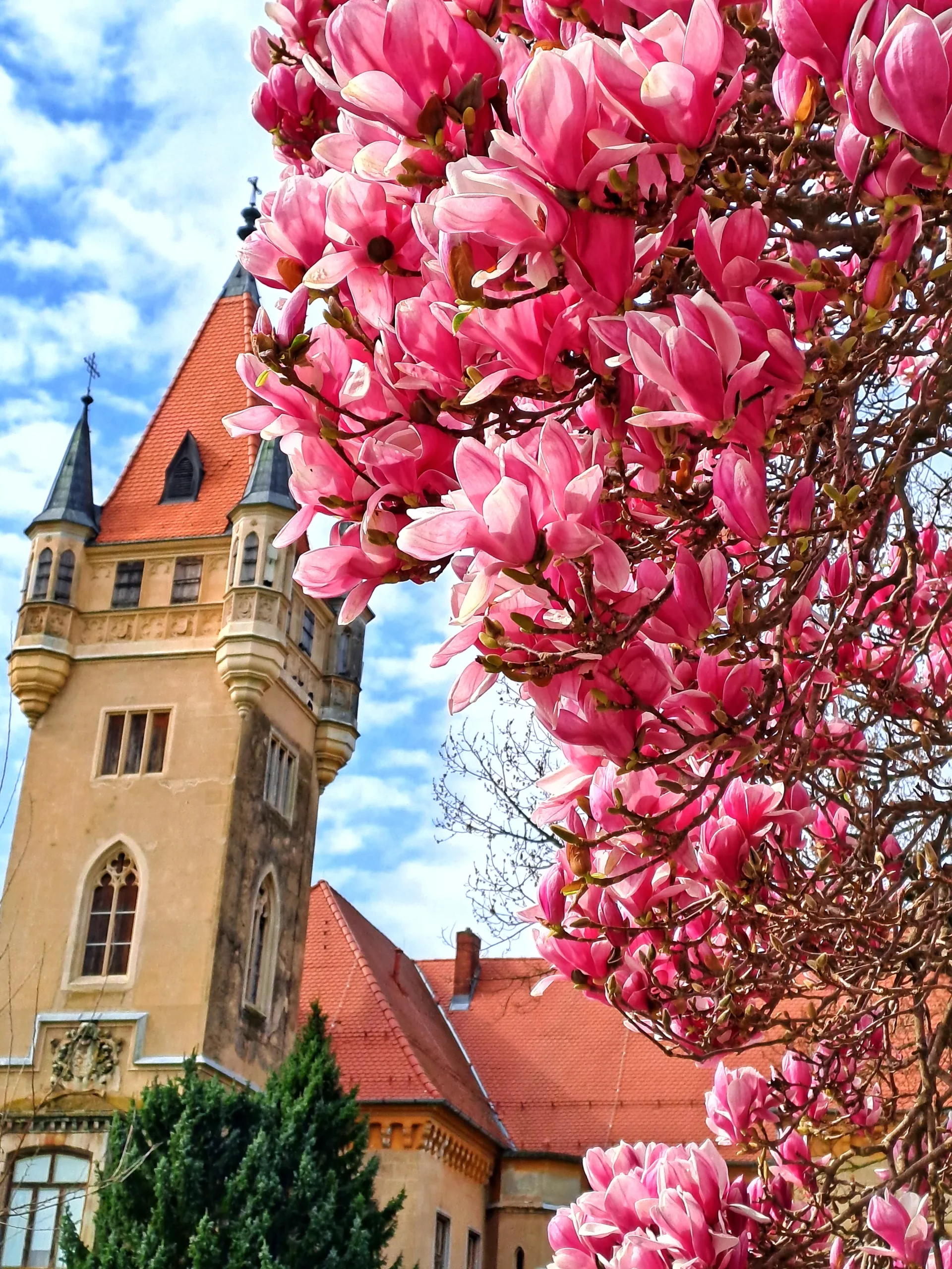 Dvorac Feštetić Pribislavec (4) Dvorac Feštetić Pribislavec (4)