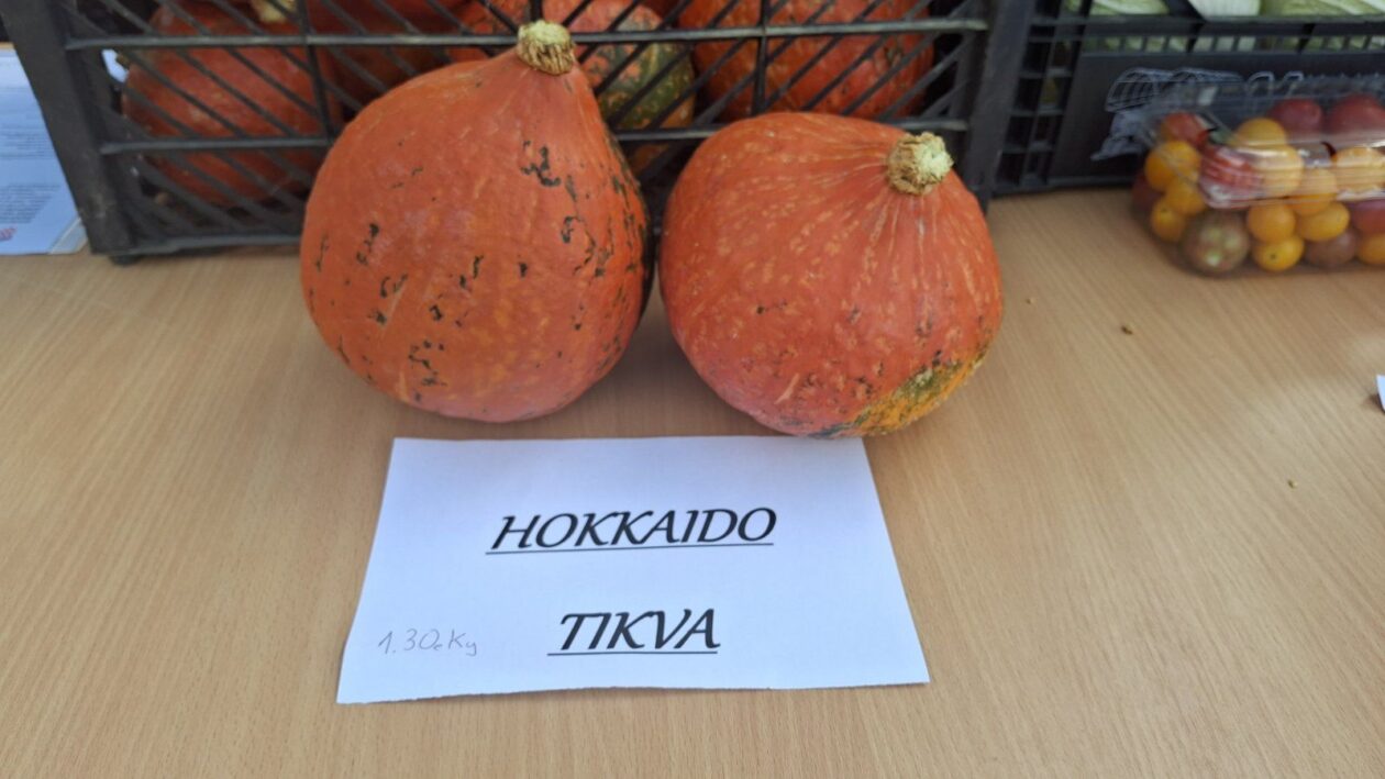 EKO sajam Mala Subotica 27