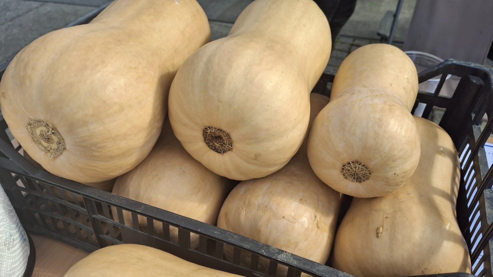 EKO sajam Mala Subotica 28