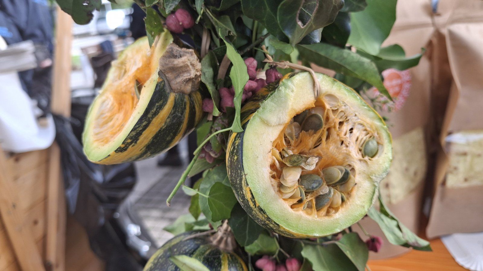 EKO sajam Mala Subotica 33