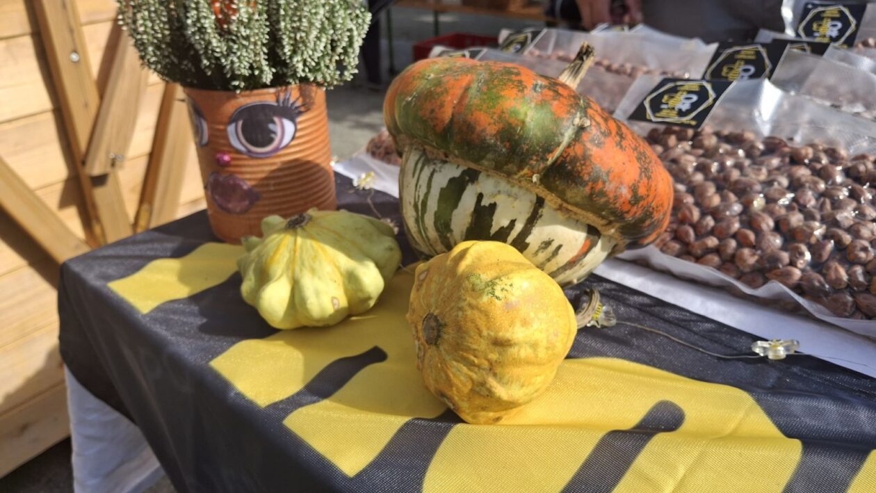 EKO sajam Mala Subotica 44