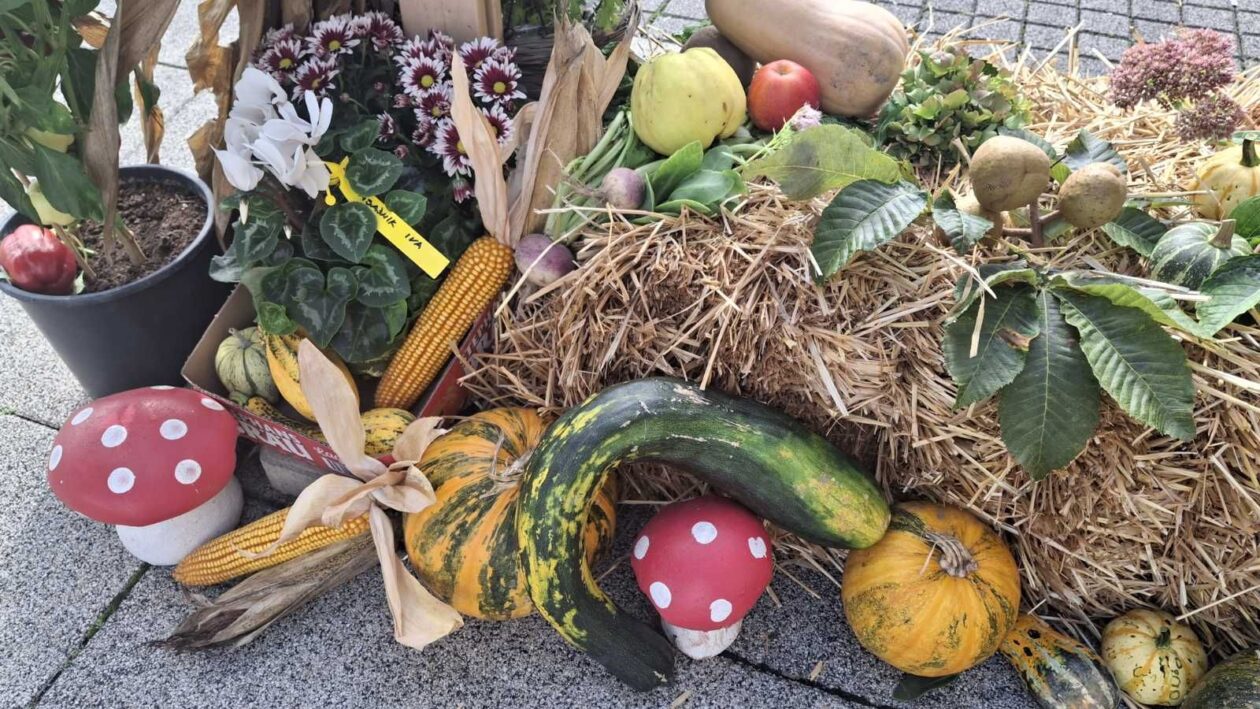 EKO sajam Mala Subotica 5