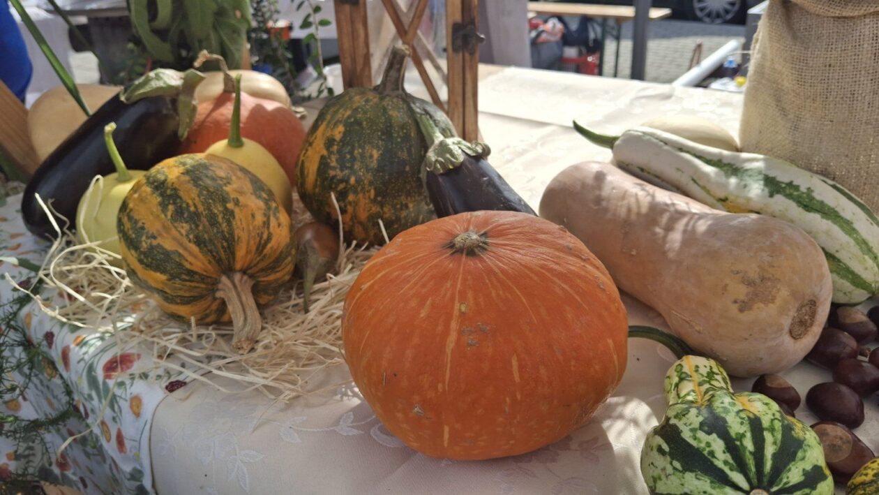 EKO sajam Mala Subotica 66