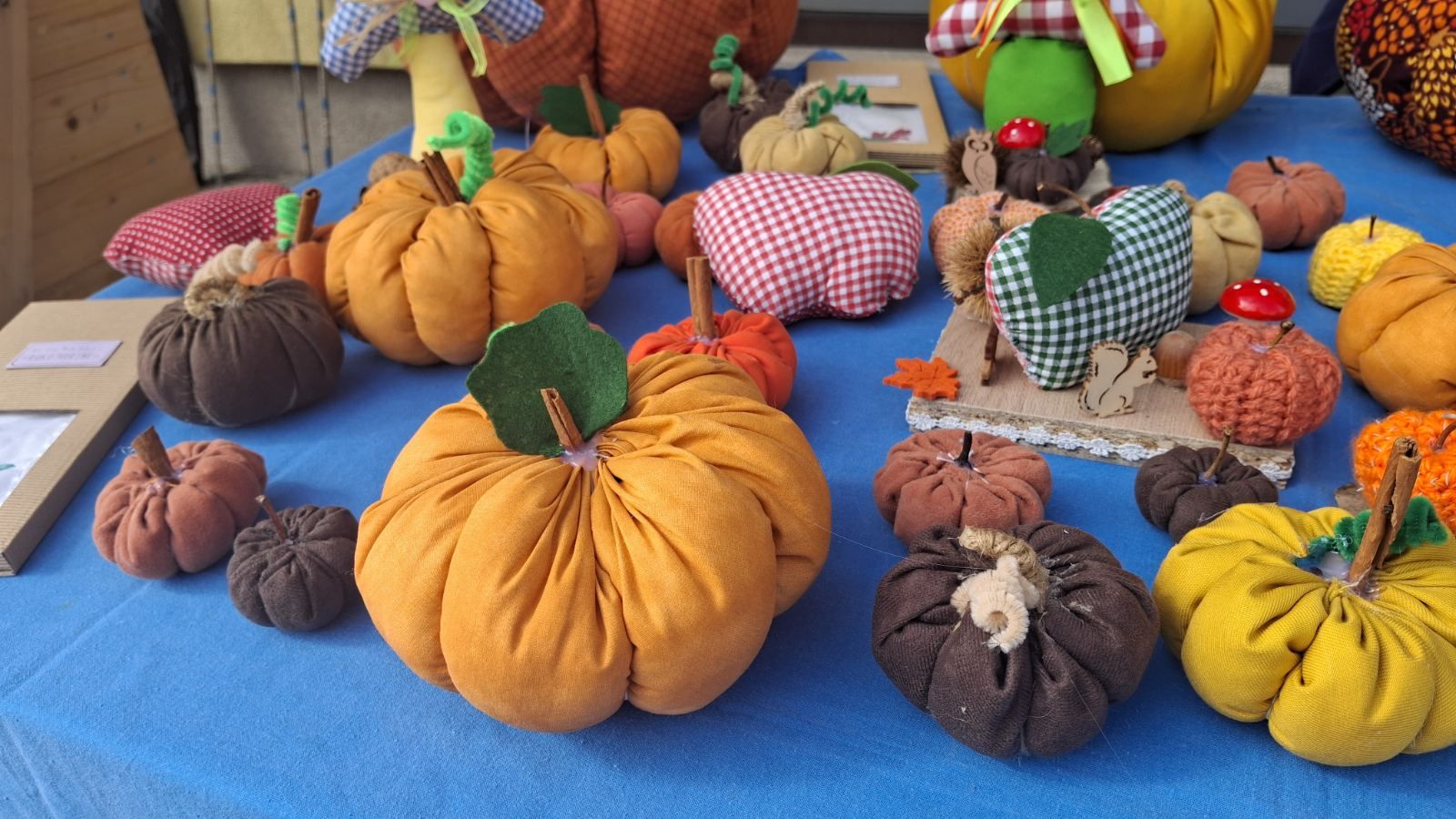 EKO sajam Mala Subotica 9