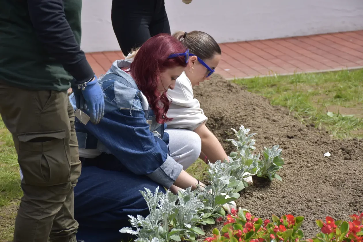 EU dan, sadnja, Pozoj (13) EU dan, sadnja, Pozoj (13)