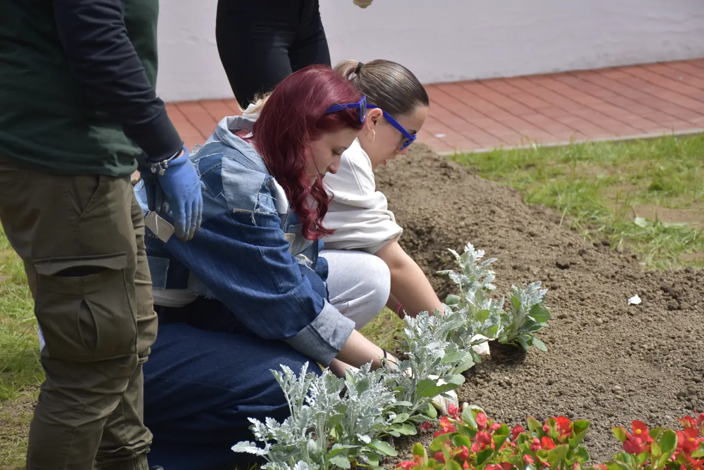 EU dan, sadnja, Pozoj (13)