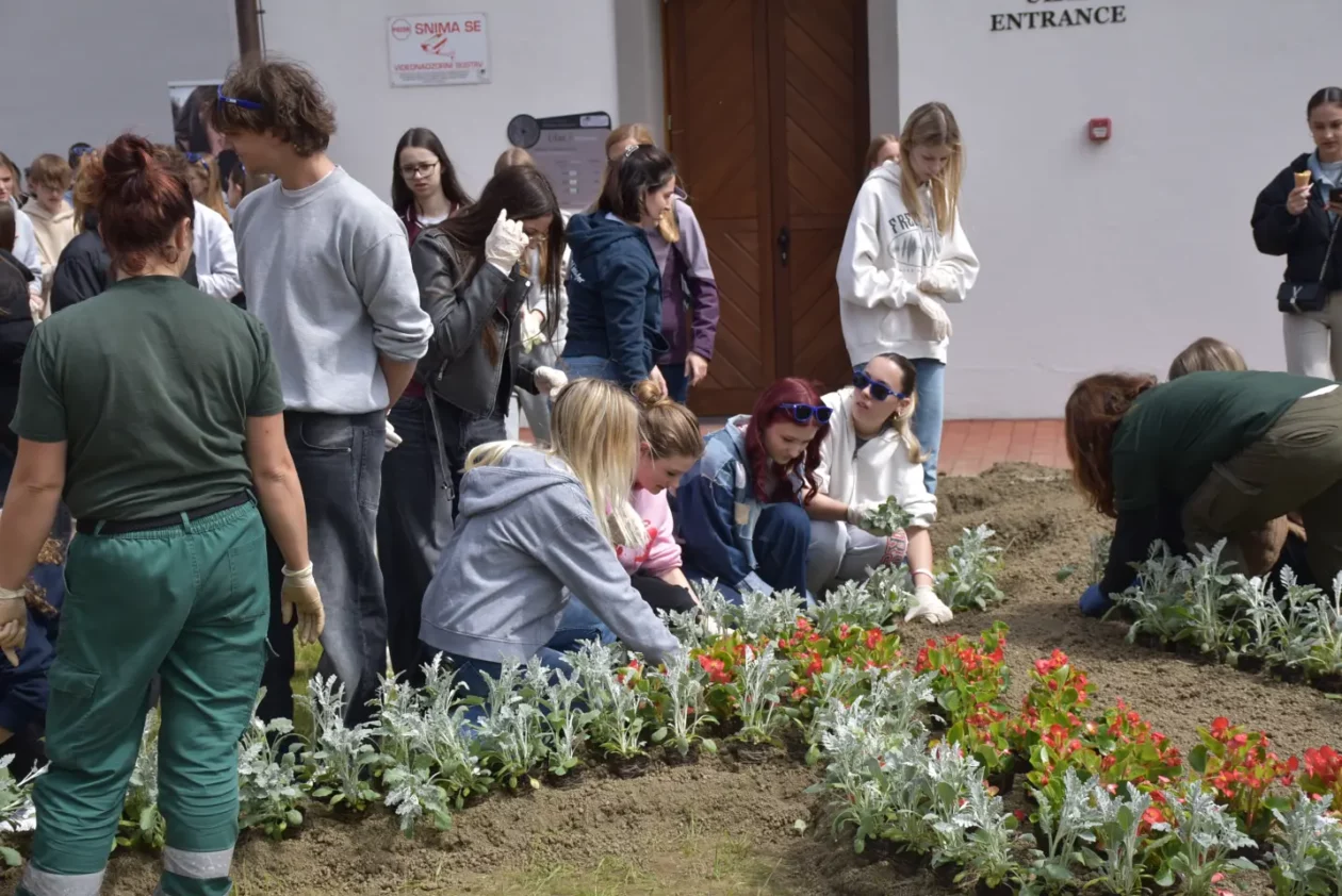 EU dan, sadnja, Pozoj (14) EU dan, sadnja, Pozoj (14)