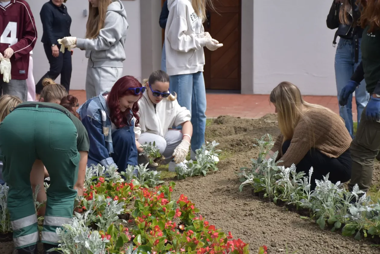 EU dan, sadnja, Pozoj (15) EU dan, sadnja, Pozoj (15)
