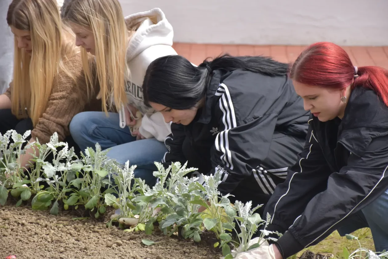 EU dan, sadnja, Pozoj (16) EU dan, sadnja, Pozoj (16)