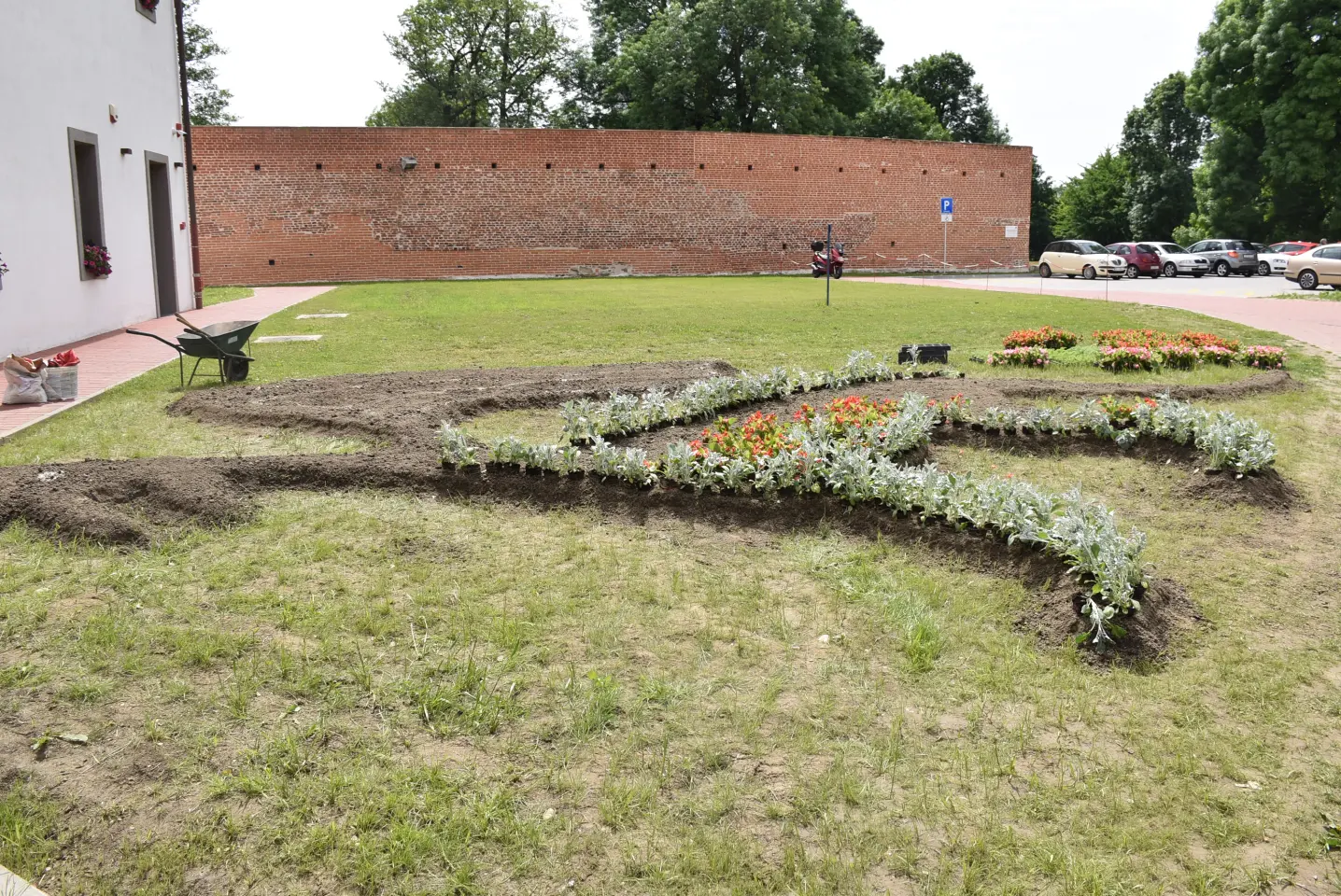 EU dan, sadnja, Pozoj (4)