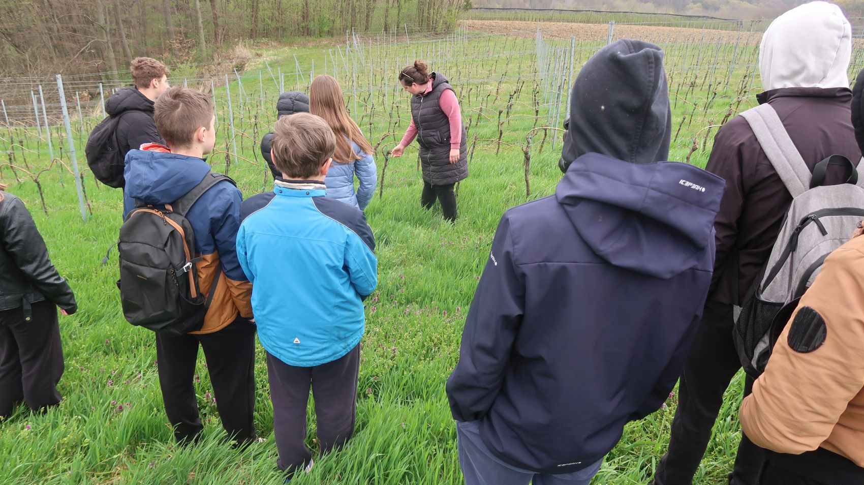 Edukacija na najvišim vinogradima u Međimurju (4) Edukacija na najvišim vinogradima u Međimurju (1)