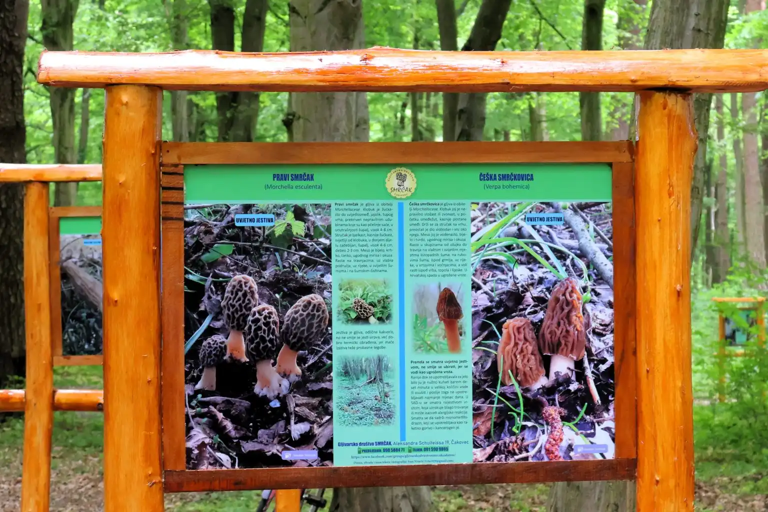 Edukativna gljivarska staza u Mačkovcu (7)