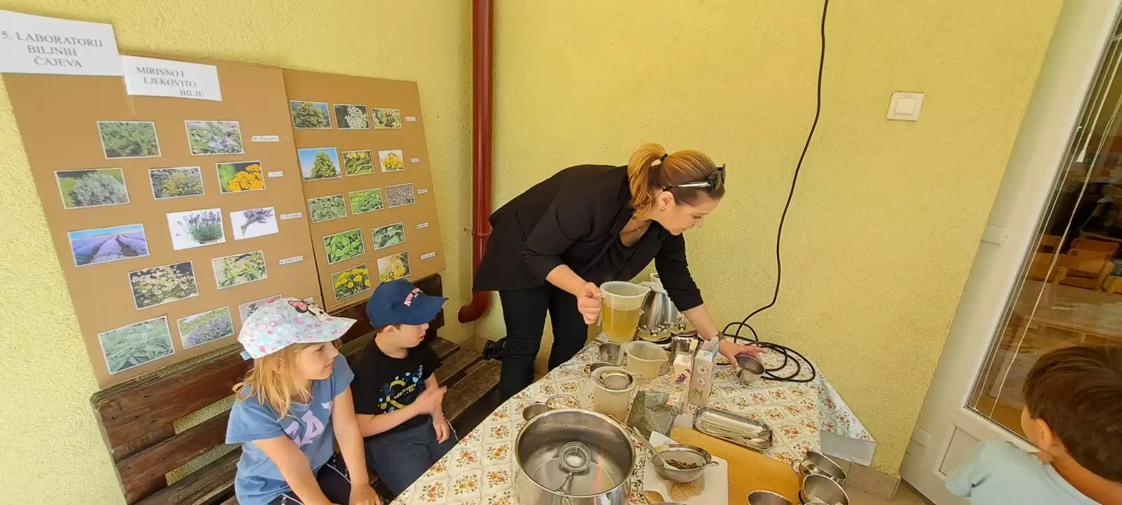 Eko dan u Stonogi (10)