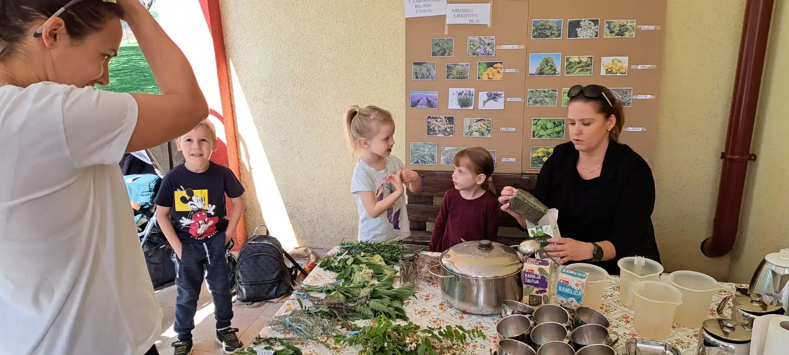 Eko dan u Stonogi (3)