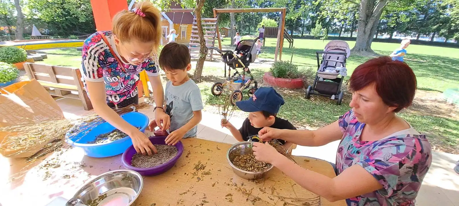 Eko dan u Stonogi (4)