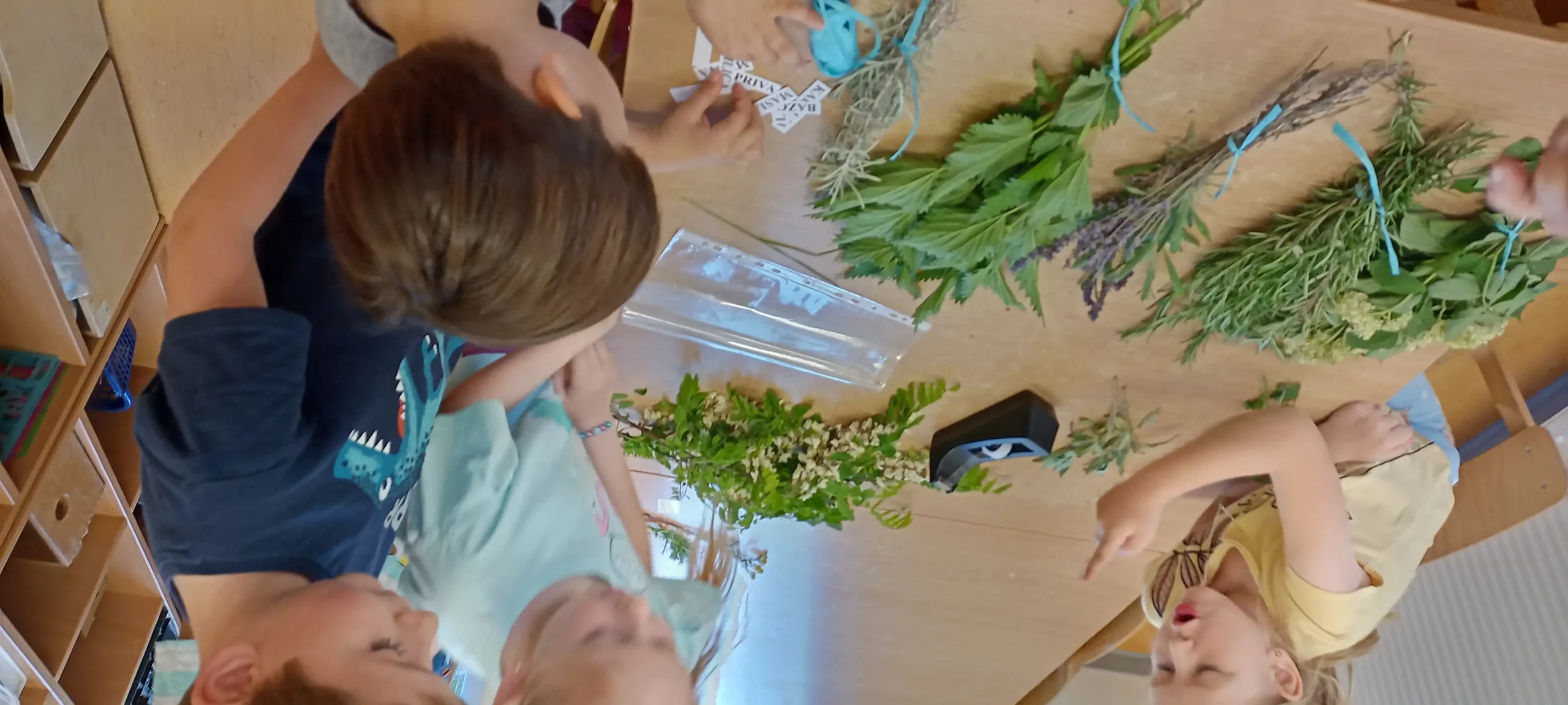 Eko dan u Stonogi (8)