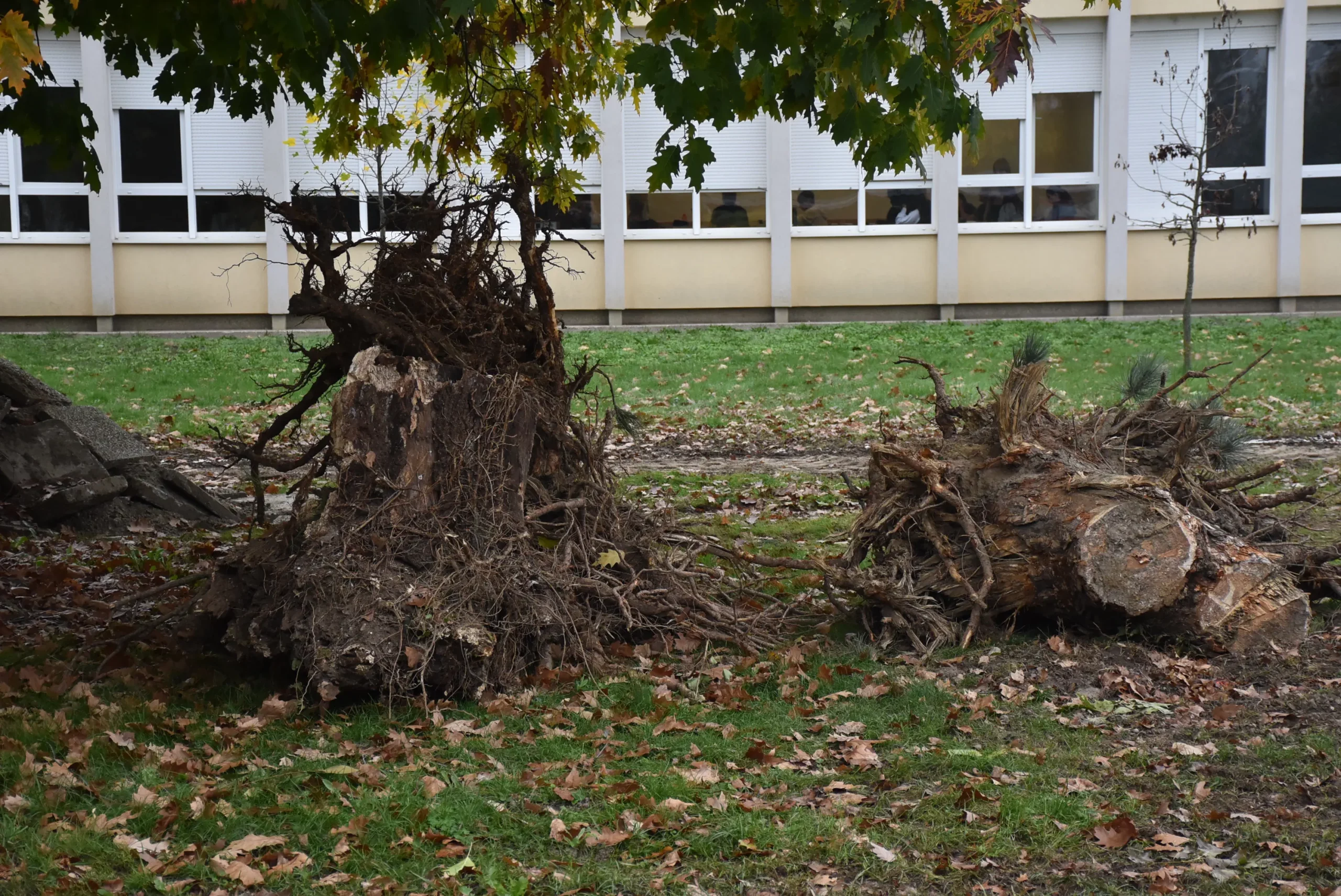 Ekonomska i trgovačka škola Čakovec 103 rođendan (9)