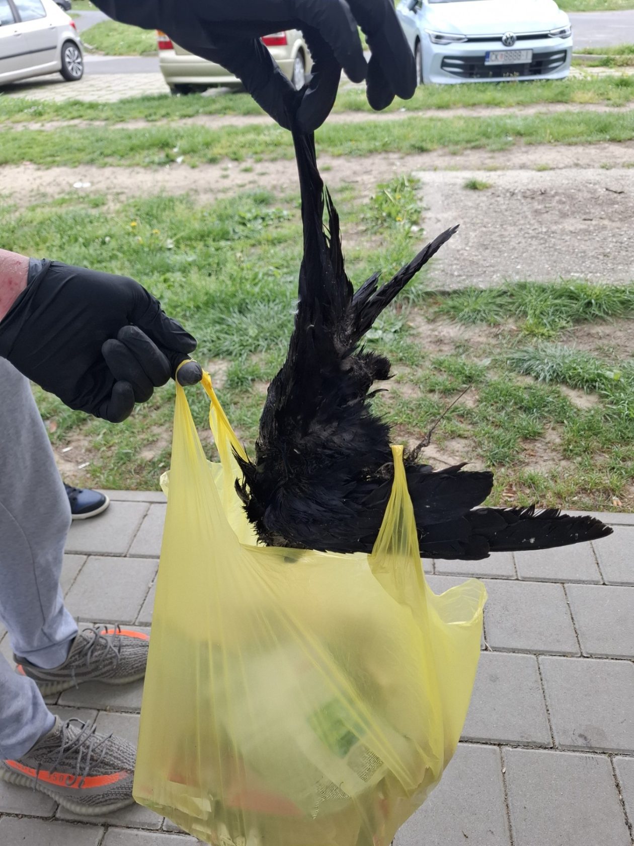 Ekonomska i trgovačka škola Čakovec dan planeta zemlje (6) Ekonomska i trgovačka škola Čakovec dan planeta zemlje (6)