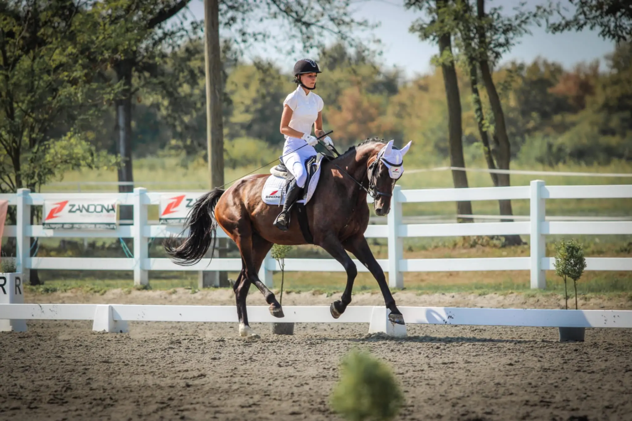 Elizabeta Božić (1) Elizabeta Božić (1)