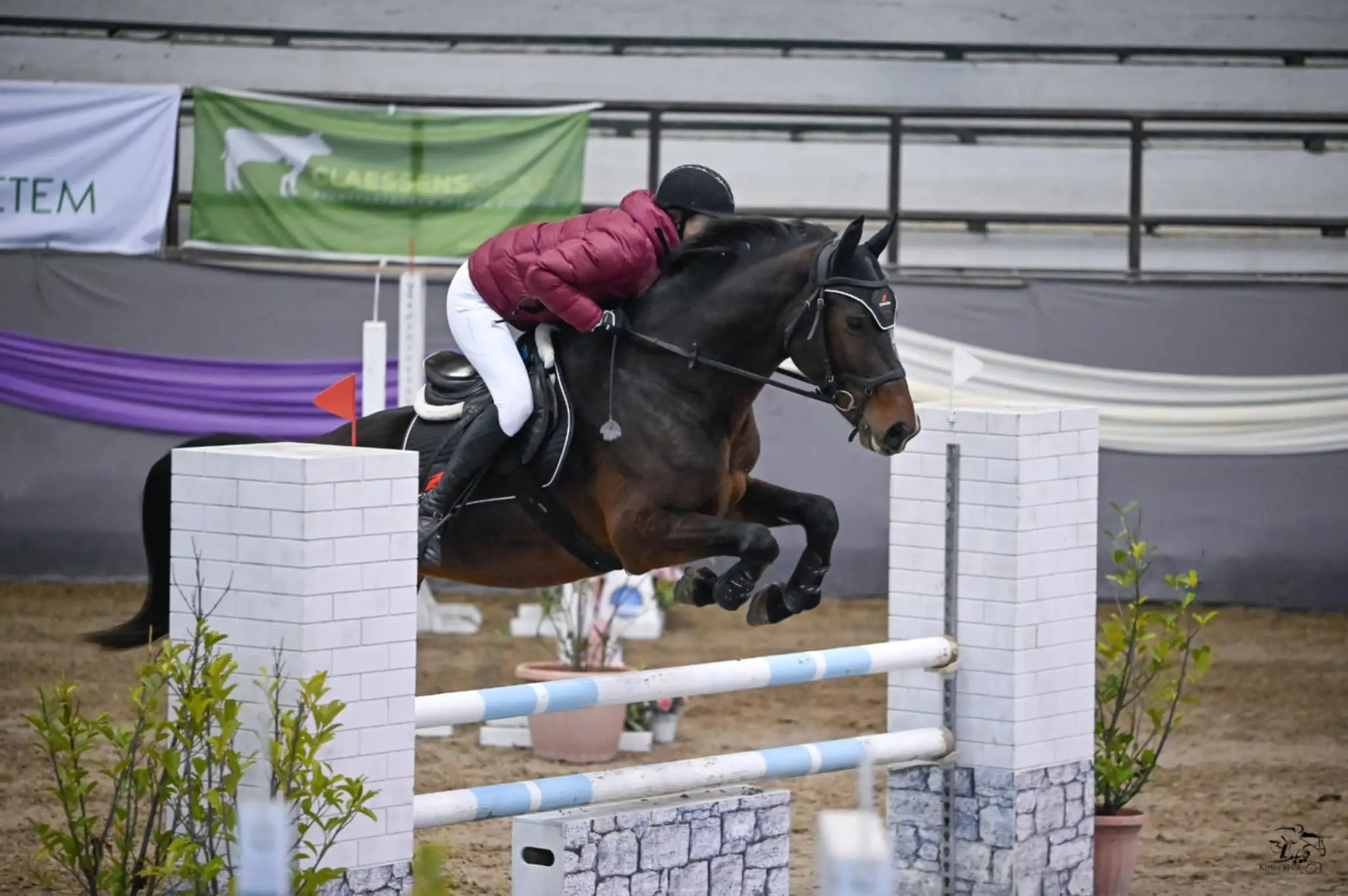 Elizabeta Božić (5) Elizabeta Božić (5)