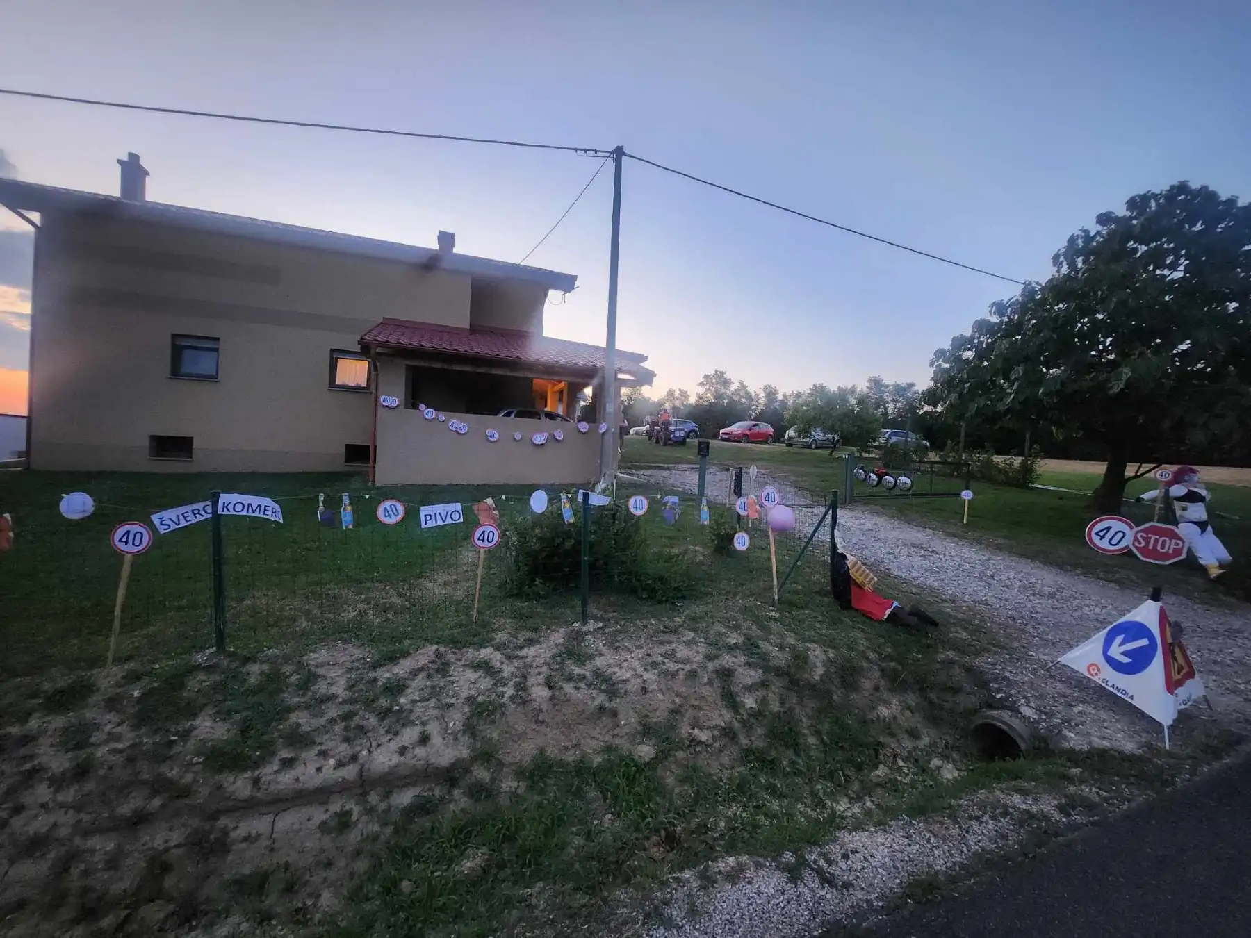 Erika – 40. rođendan (6)