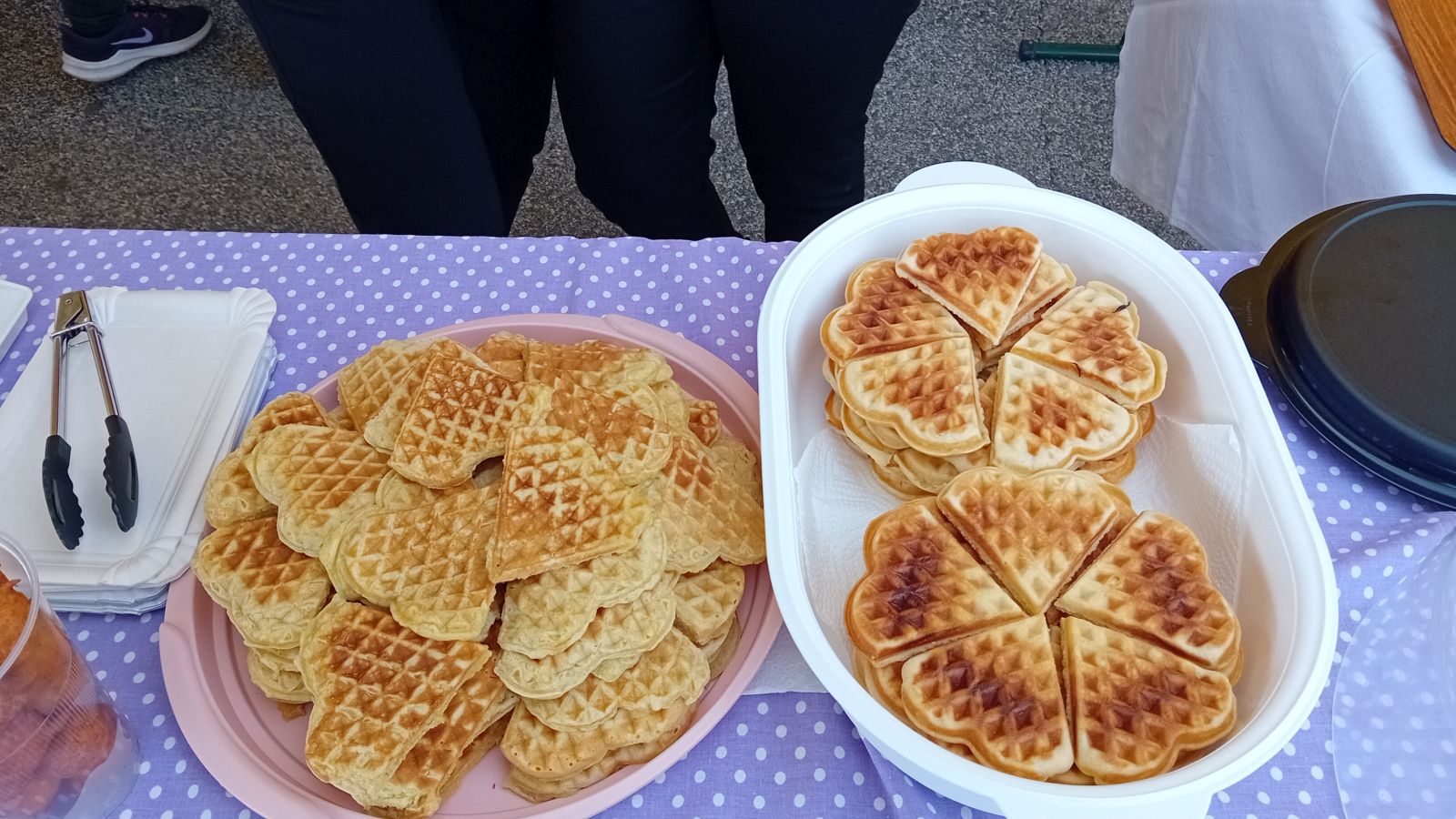 FAMILIJAFEST Veliko obiteljsko druženje u Nedelišću (6) FAMILIJAFEST Veliko obiteljsko druženje u Nedelišću (6)