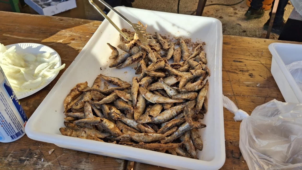 FAŠNIK SVETA MARIJA 2026 (2) FAŠNIK SVETA MARIJA 2026 (2)