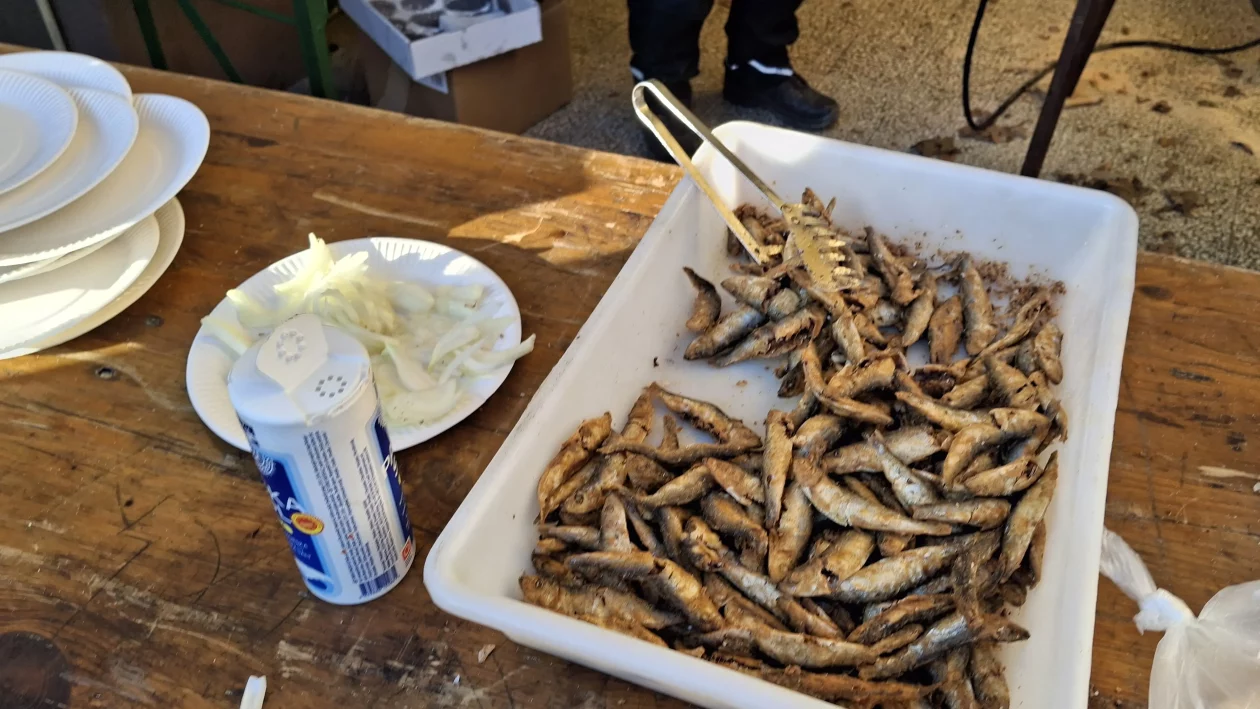 FAŠNIK SVETA MARIJA 2026 (3) FAŠNIK SVETA MARIJA 2026 (3)