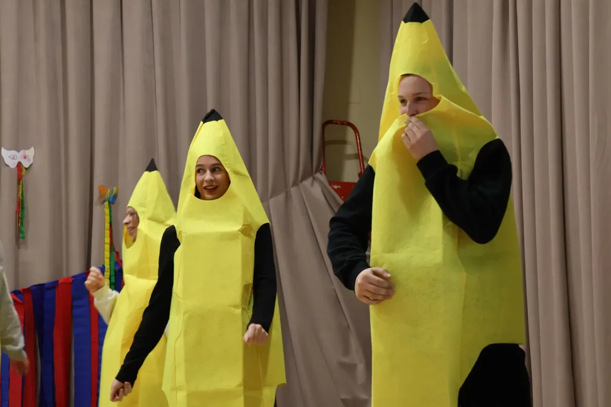 FAŠNIK SVETA MARIJA 2026 (33) FAŠNIK SVETA MARIJA 2026 (33)