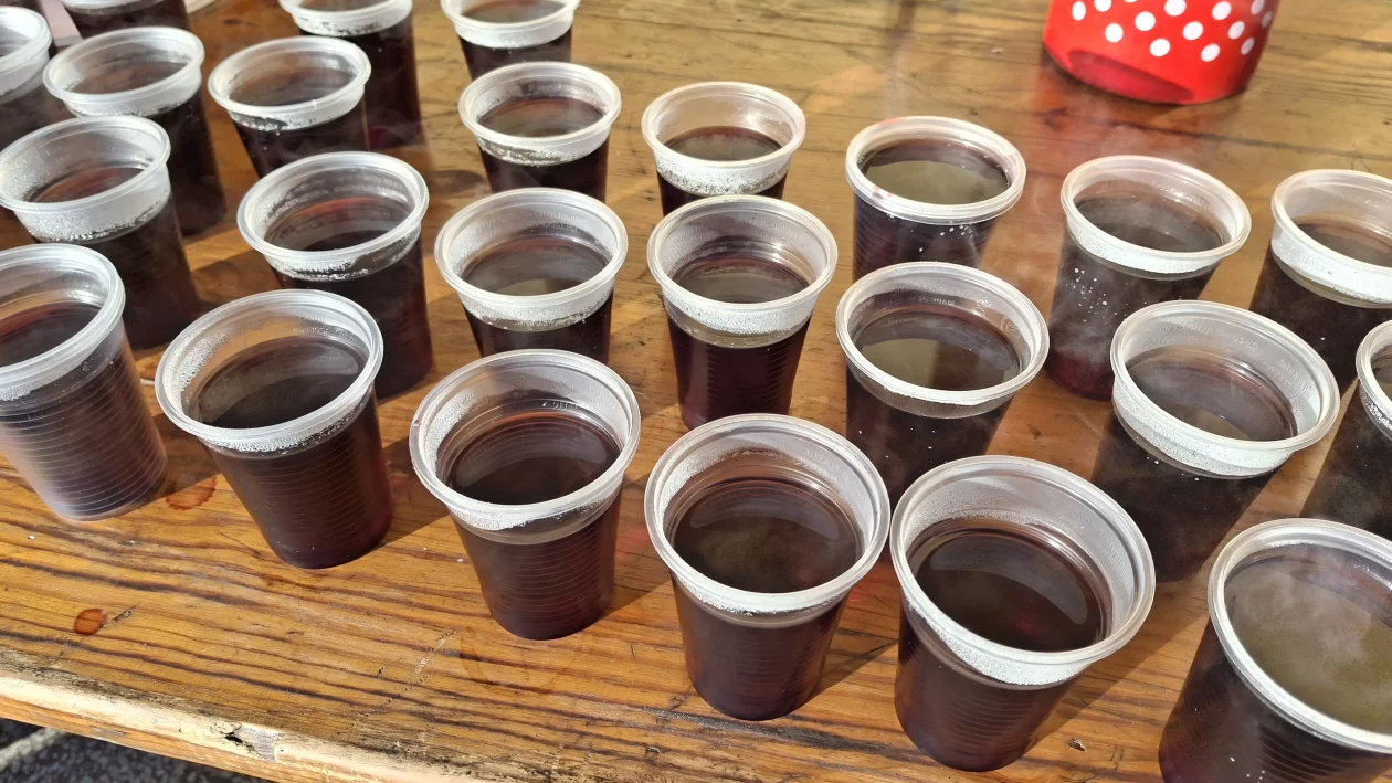 FAŠNIK SVETA MARIJA 2026 (6) FAŠNIK SVETA MARIJA 2026 (6)