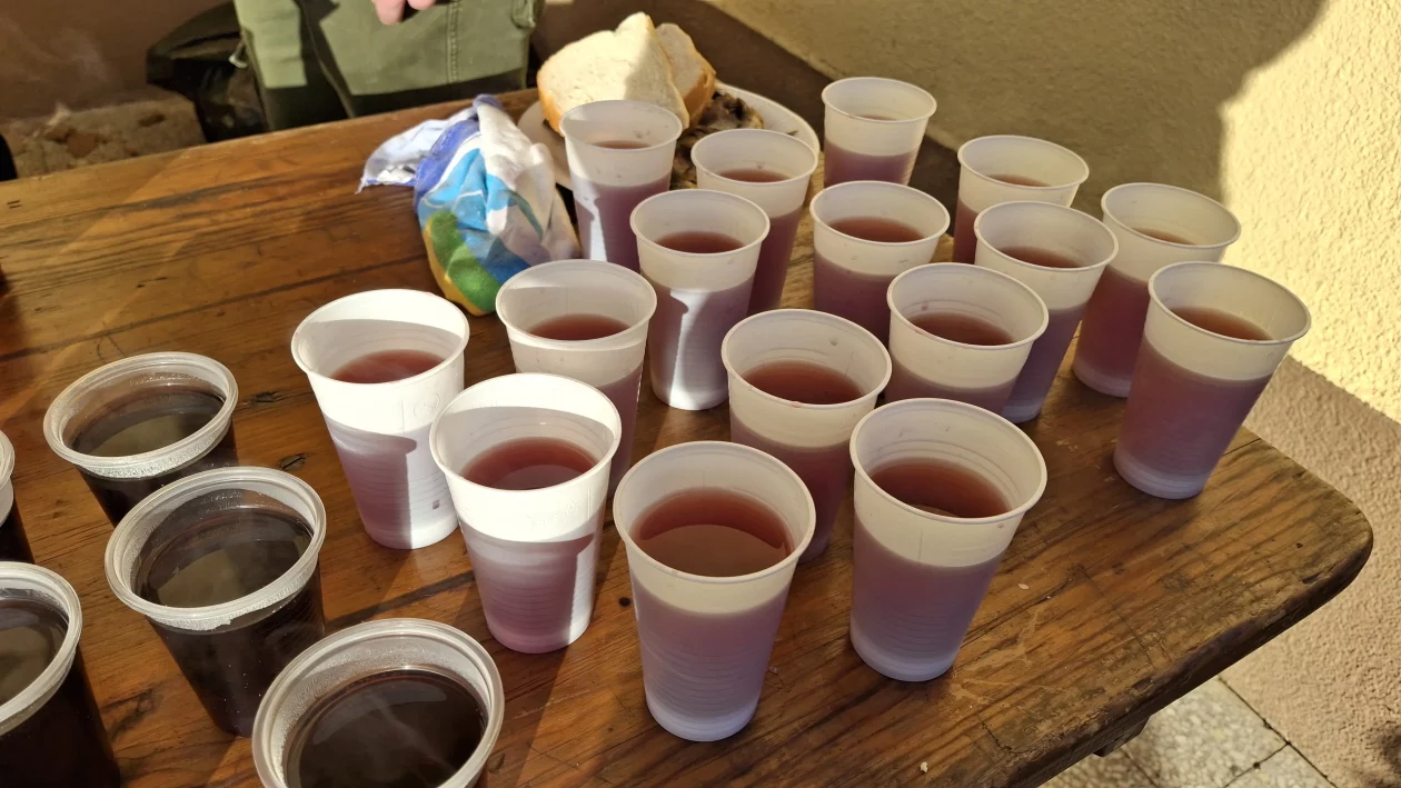 FAŠNIK SVETA MARIJA 2026 (7) FAŠNIK SVETA MARIJA 2026 (7)