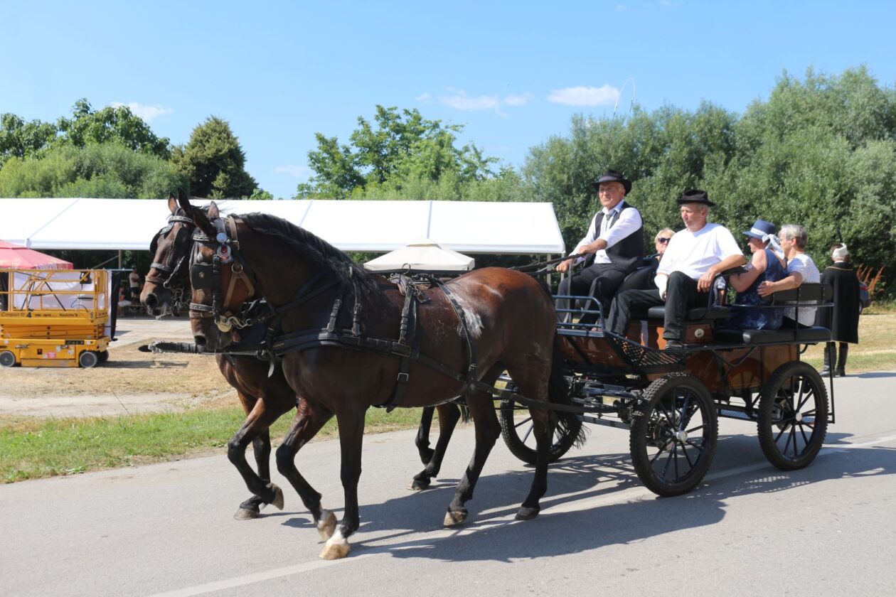 FČofci pre kovačnici 2025 26 FČofci pre kovačnici 2025 26