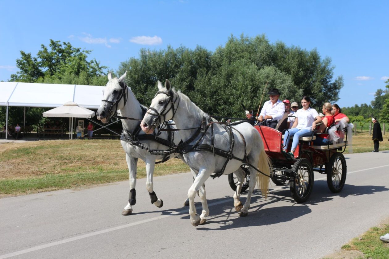FČofci pre kovačnici 2025 27 FČofci pre kovačnici 2025 27