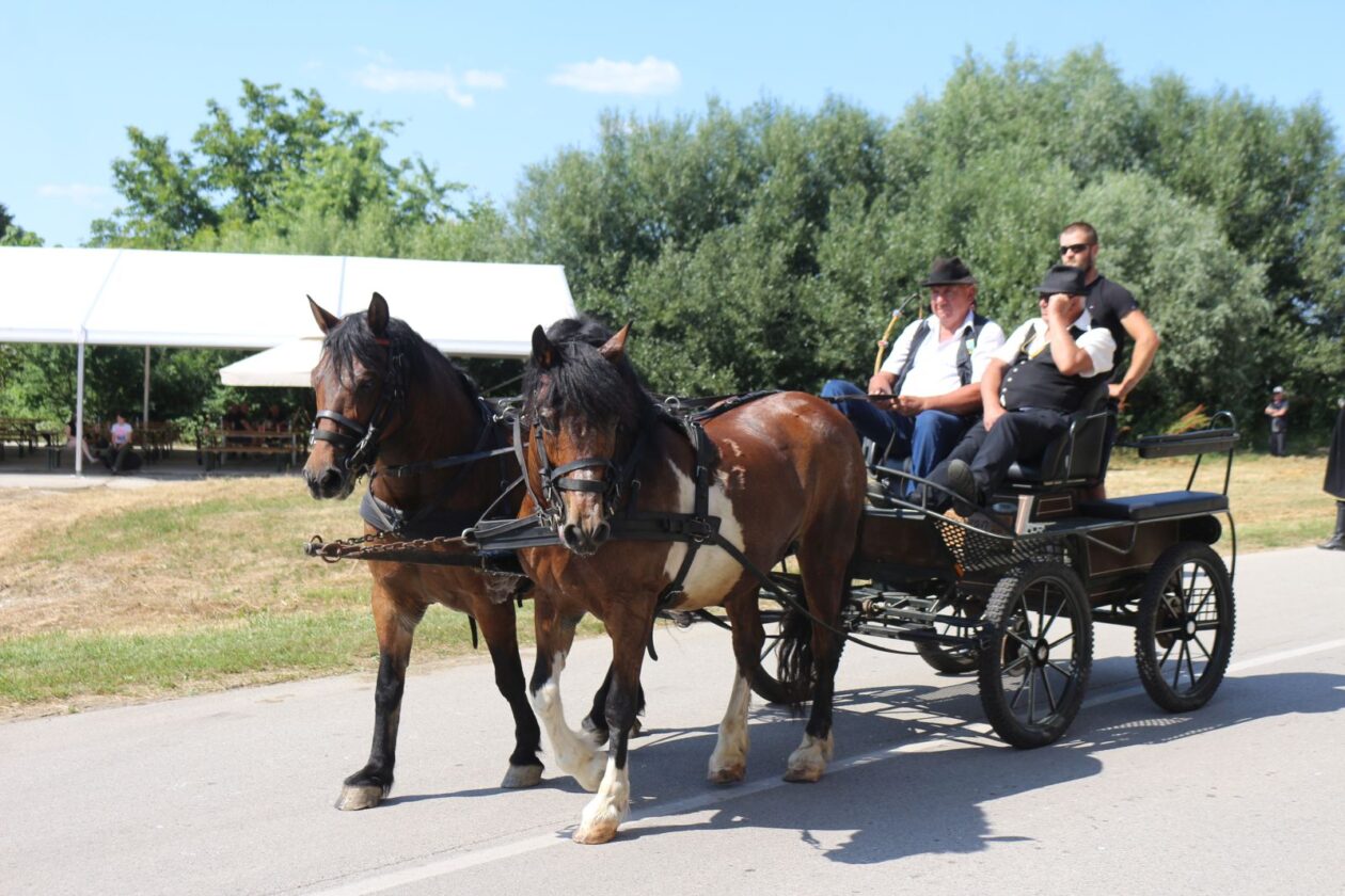 FČofci pre kovačnici 2025 29 FČofci pre kovačnici 2025 29