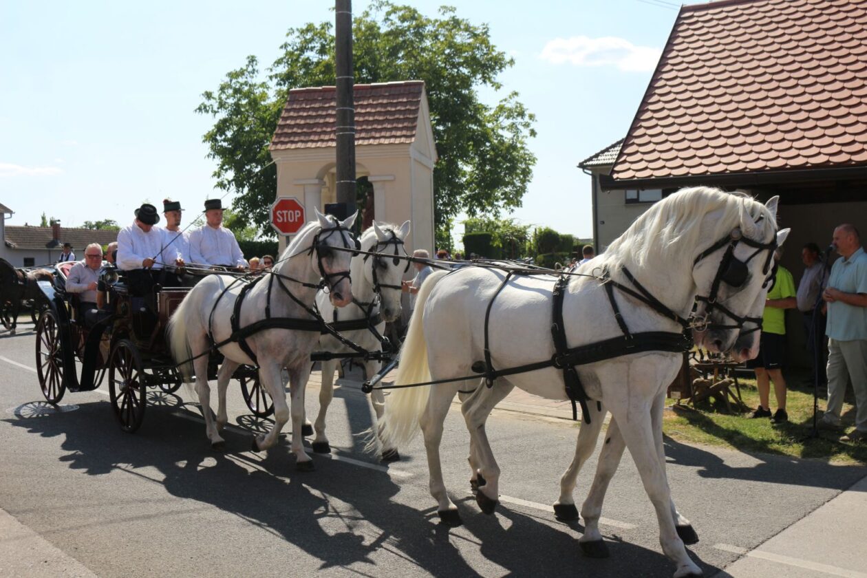 FČofci pre kovačnici 2025 38 FČofci pre kovačnici 2025 38