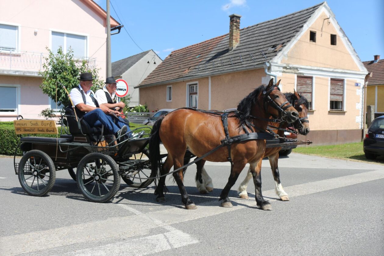 FČofci pre kovačnici 2025 6 FČofci pre kovačnici 2025 6