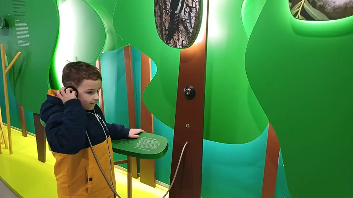 FOTO FOTO Umjetnost, znanost i priroda Križovec još jednom zablistao u Noći muzeja 2025 (6) FOTO FOTO Umjetnost, znanost i priroda Križovec još jednom zablistao u Noći muzeja 2025 (6)