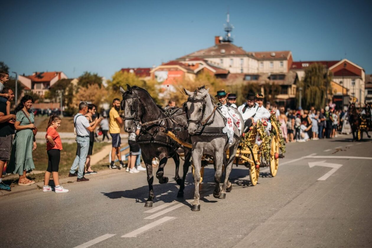 FOTO KUD Sv. Jeronim Štrigova ponosno predstavljao Međimurje na Vinkovačkim jesenima (3)