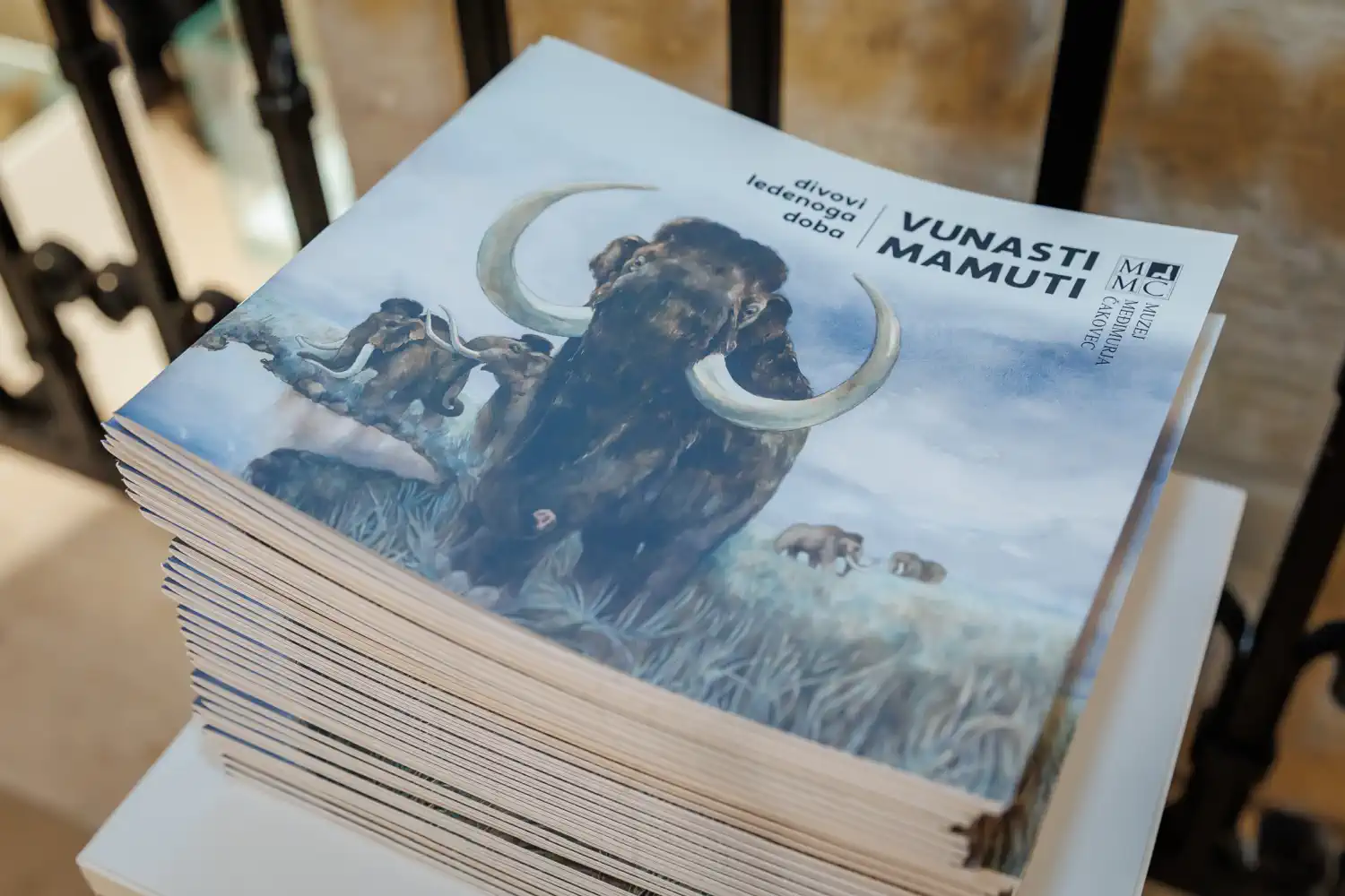 FOTO ‘Vunasti mamuti – divovi ledenog doba’ oduševili posjetitelje u Muzeju Međimurja Čakovec (10)