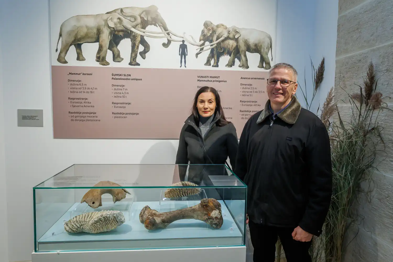 FOTO ‘Vunasti mamuti – divovi ledenog doba’ oduševili posjetitelje u Muzeju Međimurja Čakovec (17)