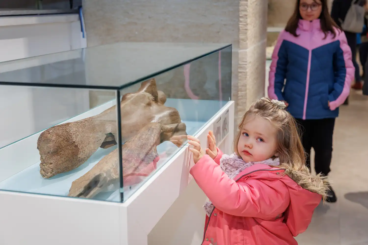 FOTO ‘Vunasti mamuti – divovi ledenog doba’ oduševili posjetitelje u Muzeju Međimurja Čakovec (22)