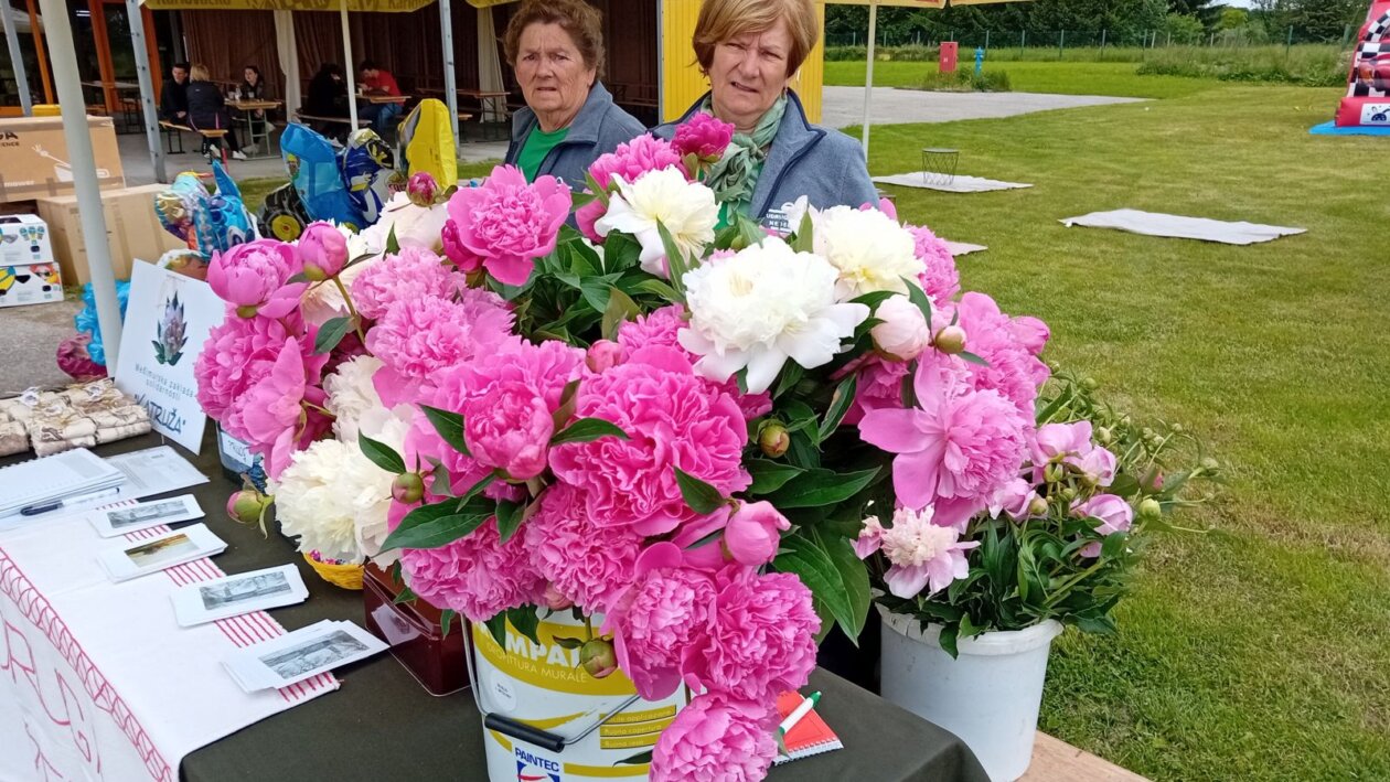 Familijafest Nedelišće 2025 (1) Familijafest Nedelišće 2025 (1)