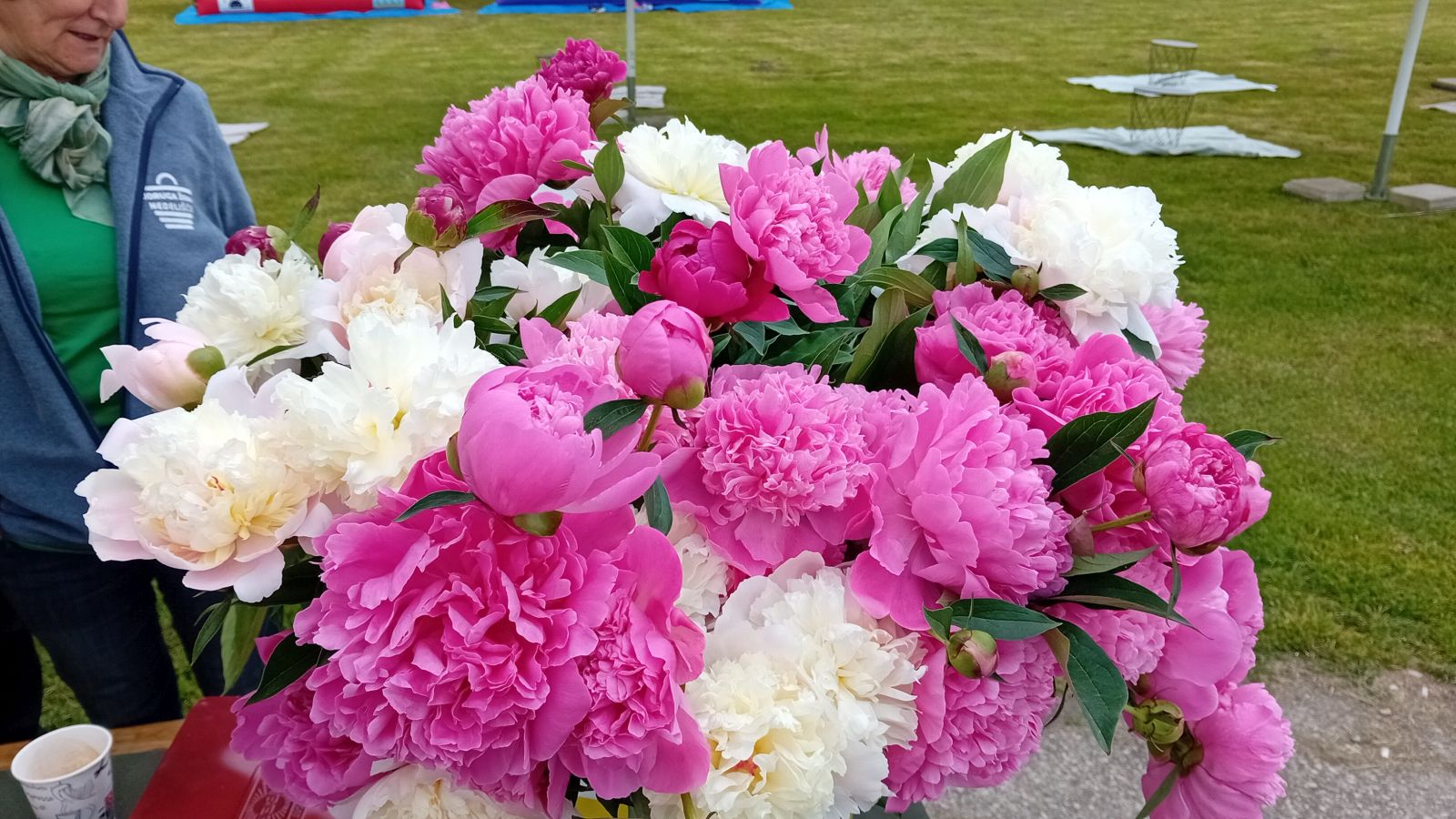 Familijafest Nedelišće 2025 (2)