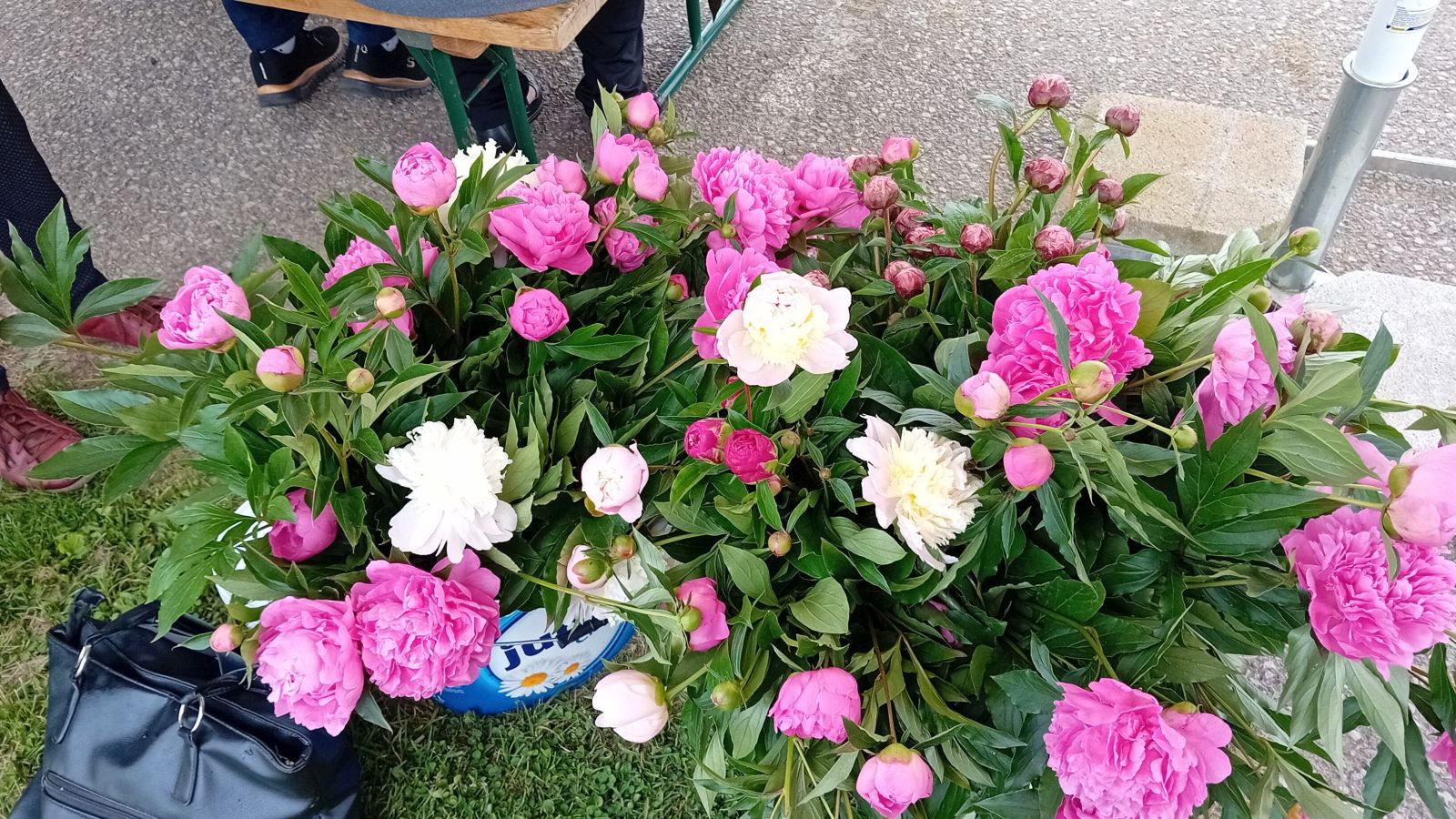 Familijafest Nedelišće 2025 (4)