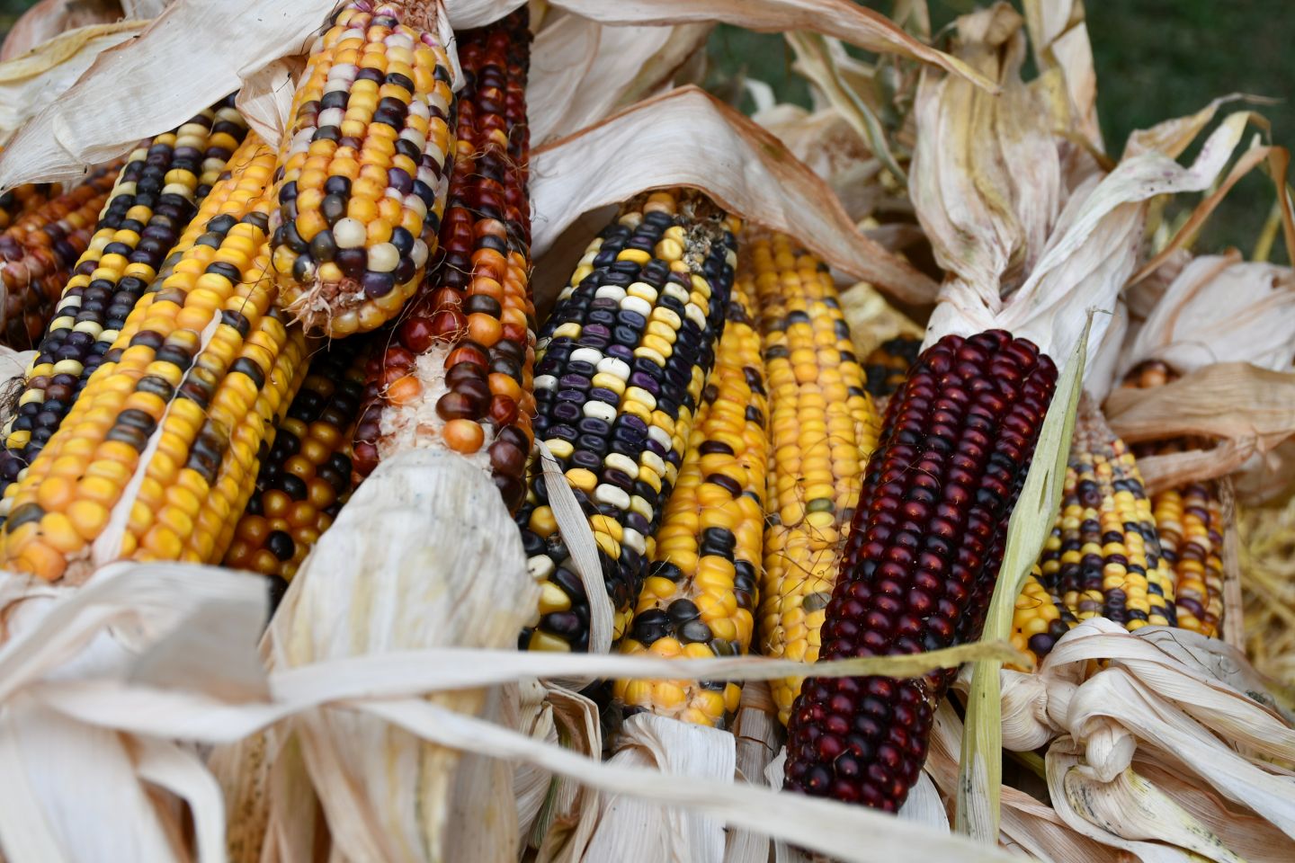 Family day Žabnik 2025 (42) Family day Žabnik 2025 (42)