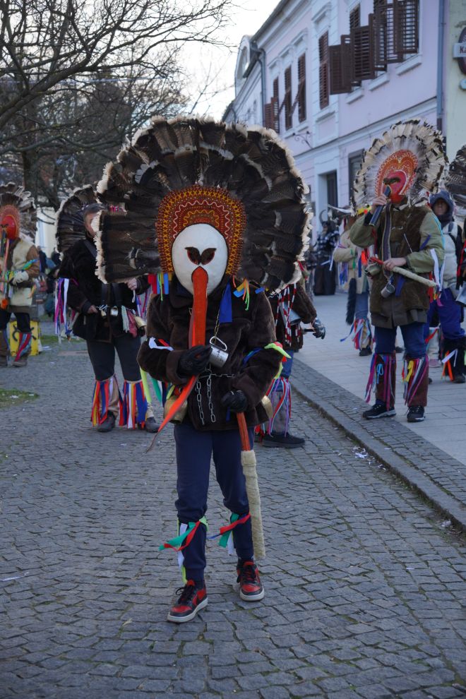 Fašnik Čakovec 2026 odrasli (40) Fašnik Čakovec 2026 odrasli (40)