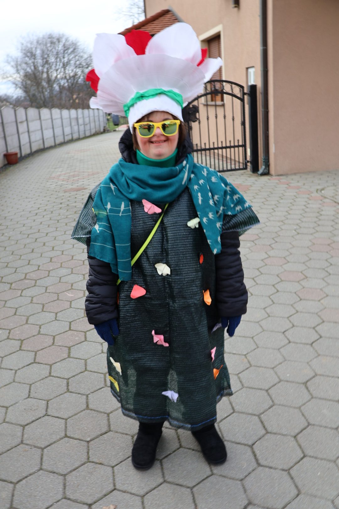 Fašnik Donji Vidovec (17) Fašnik Donji Vidovec (17)