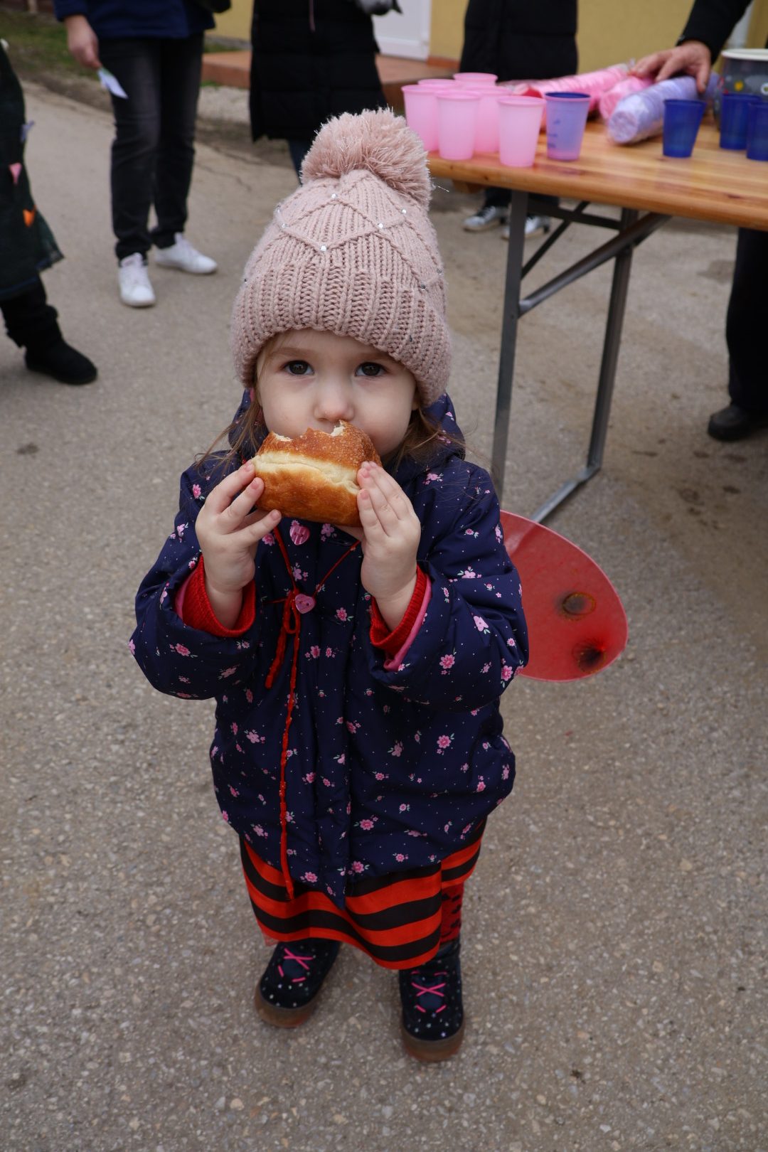 Fašnik Donji Vidovec (4) Fašnik Donji Vidovec (4)